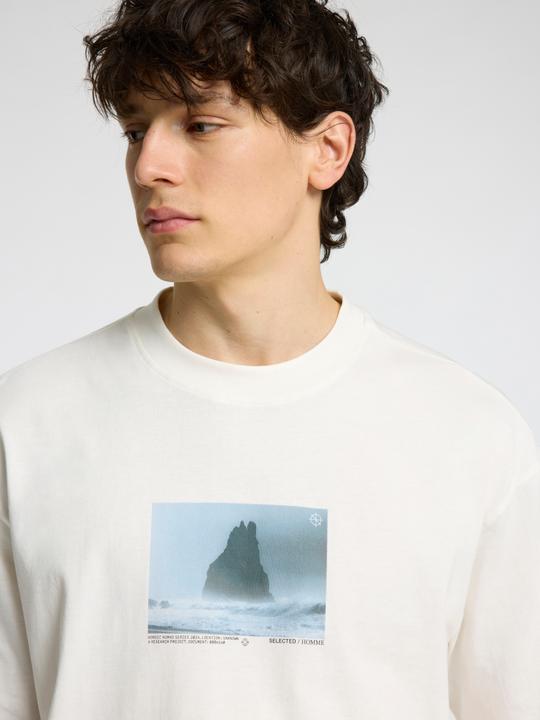 Actual product image Selected Homme Print T-Shirt mit Rundhalsausschnitt (L)