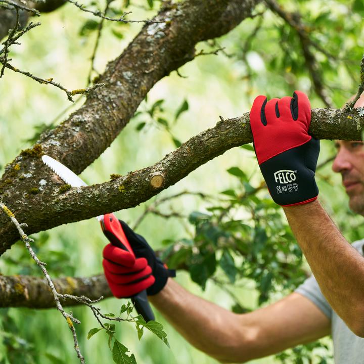 Actual product image Felco 704M Cut-resistant gloves, size M (M)