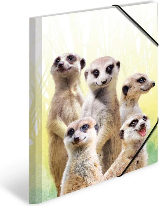 Actual product image HERMA A3 motif folder (A3, 1x)