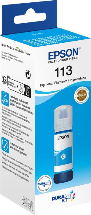Actual product image Epson 113 (C)