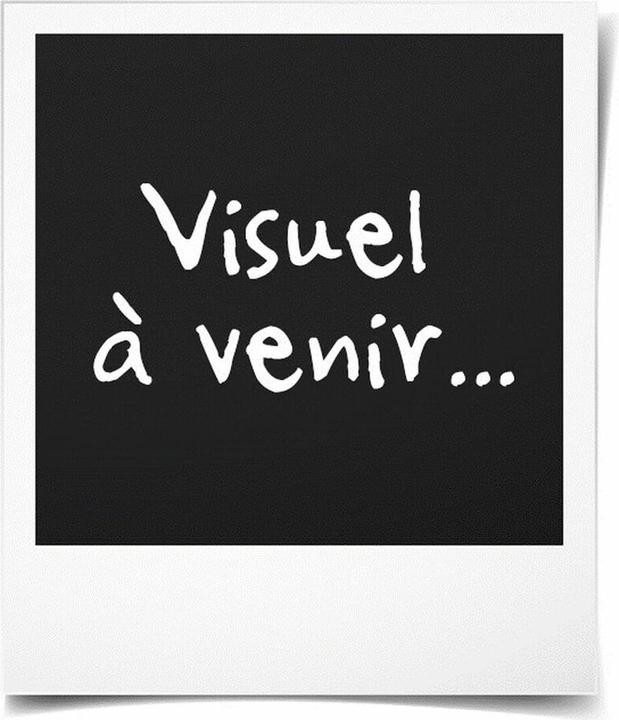 Immagine prodotto Pantum Toner TL-410, 1500 pagine, nero