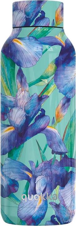Iris bleu