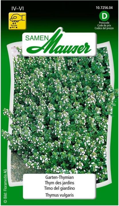 Produktbild Samen Mauser Garten-Thymian (Kräutersamen)