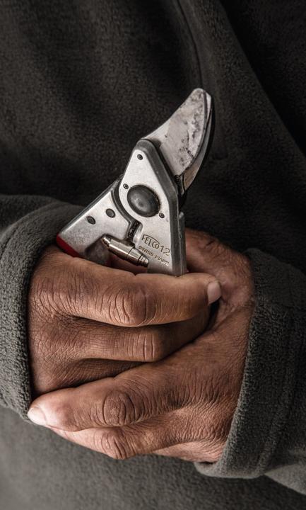 Productafbeelding Felco Tuinschaar 12