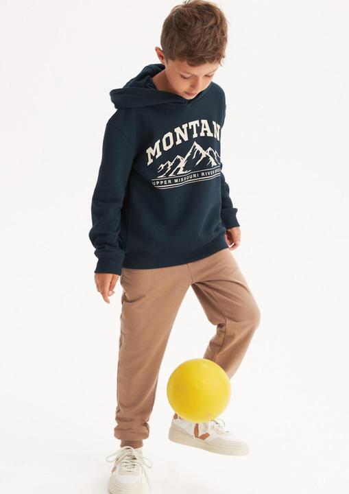 Produktbild La Redoute Collections Kapuzensweatshirt Berge (128)