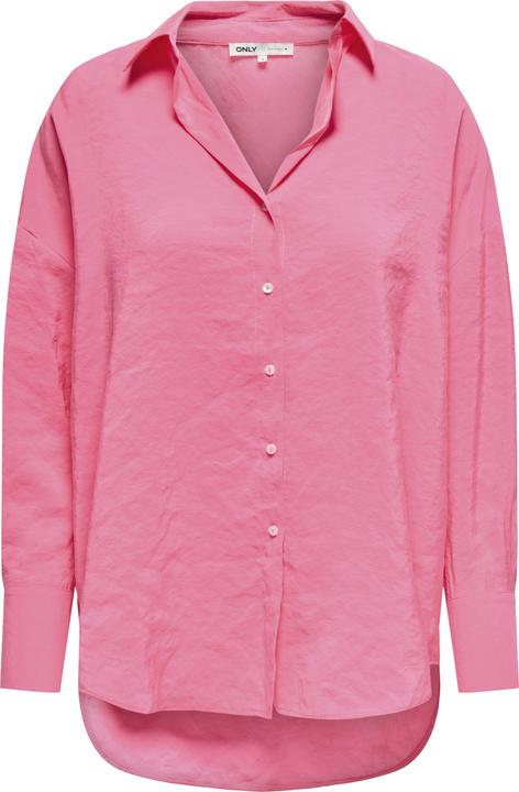 Pink Carnation