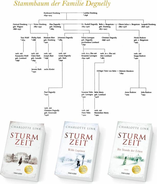 Produktbild Sturmzeit - Die Stunde der Erben (Deutsch, Charlotte Link, 2018)