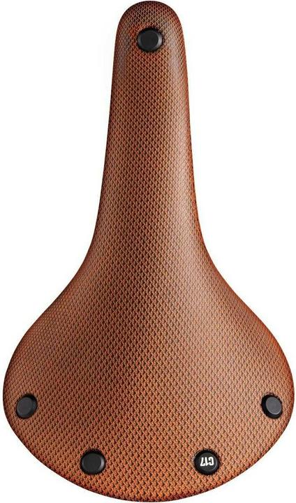 Image du produit Brooks England cambium C17