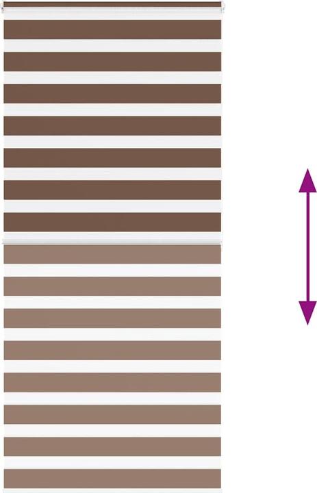 Produktbild vidaXL Zebra-Jalousie (95 x 200 cm)
