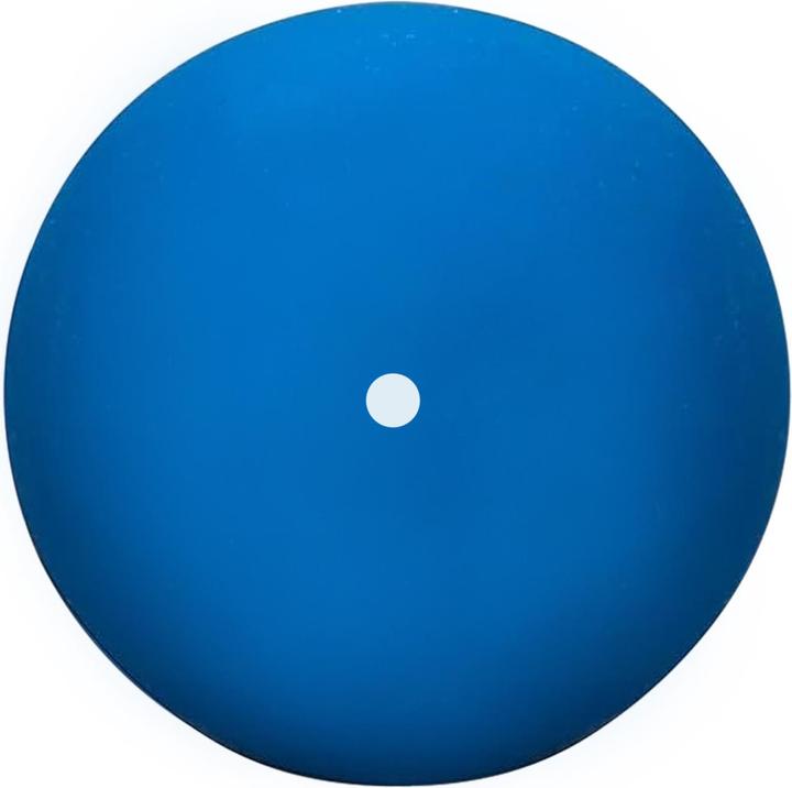 Produktbild Dunlop Intro 12erPack SquashBälle