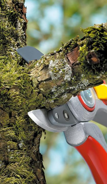 Produktbild Wolf-Garten Rs 5000