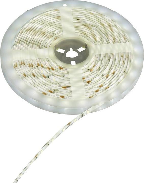 Produktbild Sygonix SY-6612922 LED-Streifen mit Stecker 12 V/DC 5000 mm Kaltweiss 1 St. (Kaltweiss, 500 cm, Indoor)