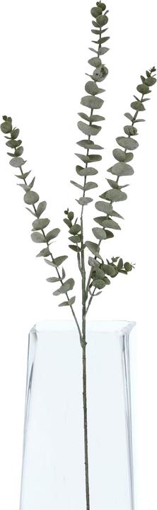 Actual product image Hill Interiors Gunnii Eucalyptus Spray Artificial Flower (90 cm)