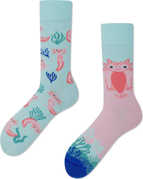 Actual product image Many Mornings A lot of axolotls (39 - 42)