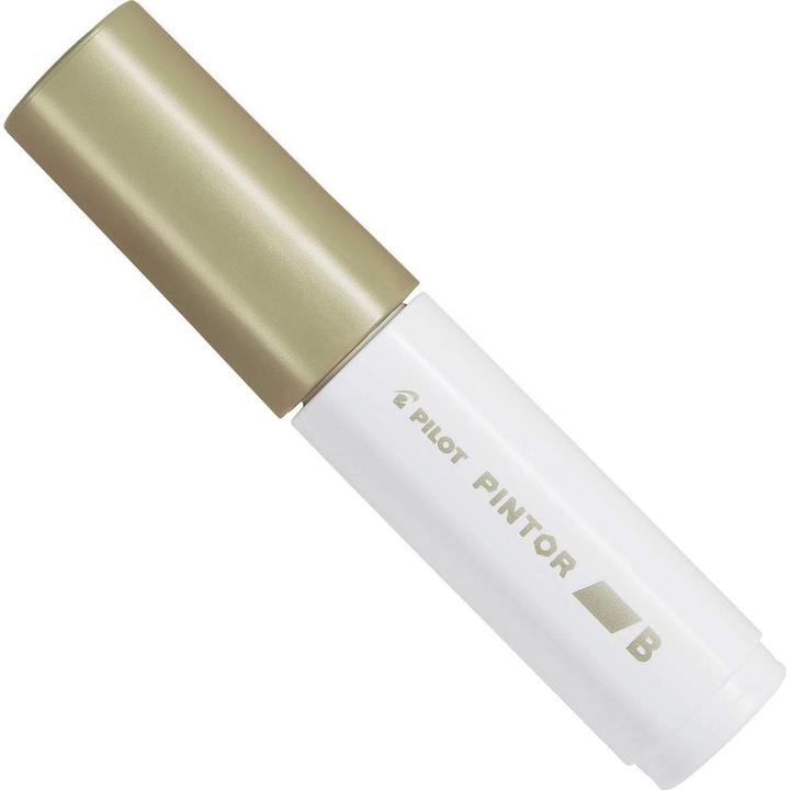 Actual product image Pilot Pintor Wide (1x)