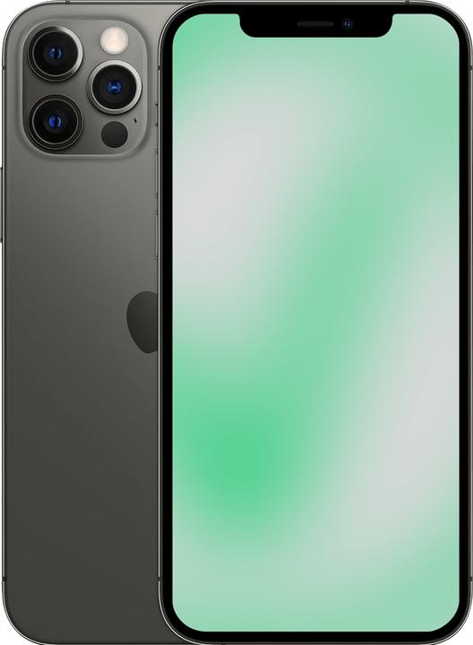Actual product image Revendo iPhone 12 Pro (512 GB, Graphites, 6.10", 12 Mpx, SIM + eSIM, B / Very good)