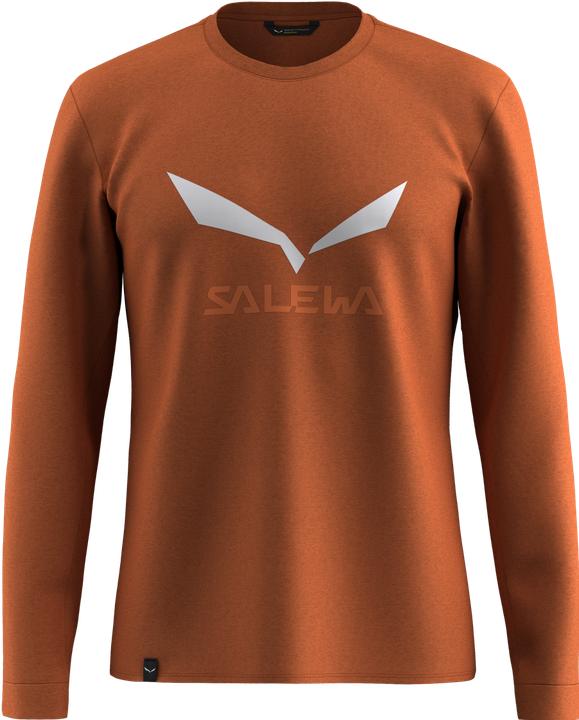 Actual product image Salewa Solidlogo Dry L/S Tee (M)