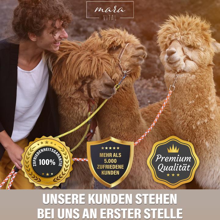 Produktbild Mara Vital Alpaka Duvet (1008 g, 135 x 200 cm)