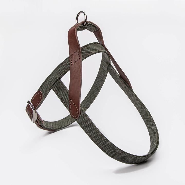 Cloud 7 Dog harness Tivoli
