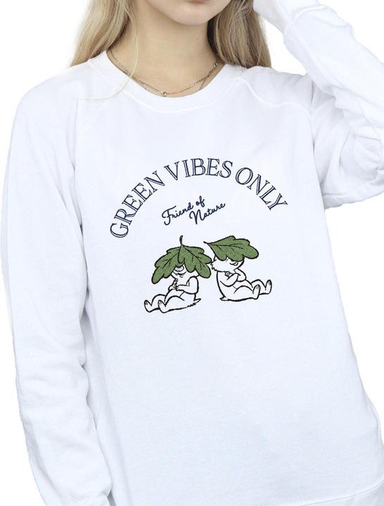 Image du produit Disney - Sweat CHIP 'N DALE GREEN VIBES ONLY - Femme (L)
