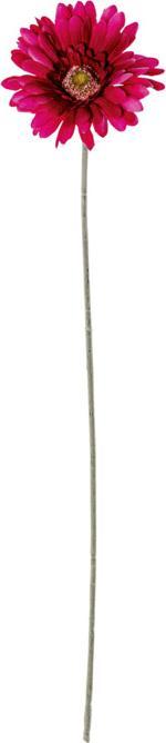 DPI Gerbera (56 cm)