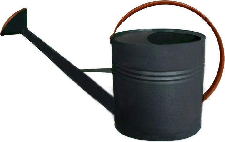 Naturel Metal Arrosoir en zinc (10 l)