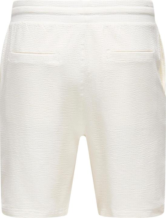 Actual product image Only & Sons Onskian Reg Seersucker Shorts (XS)