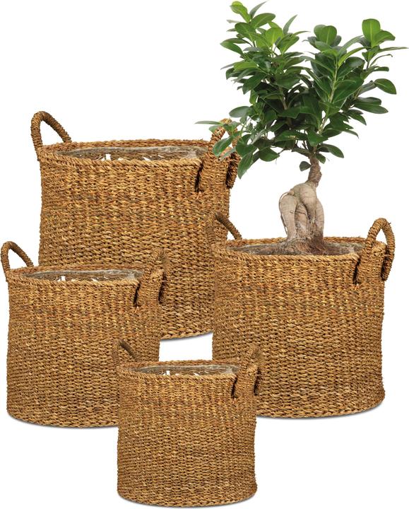Produktbild Scheurich Seagrass 33 (35 cm)