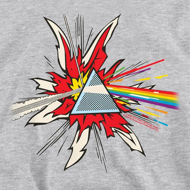Produktbild Pink Floyd Dark Side Of The Moon Immersion Kapuzenpullover meliert (128)