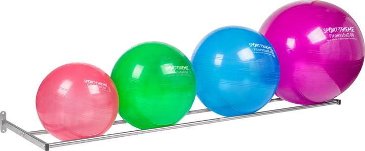 Actual product image Sport-Thieme Gym Ball Wall Storage Classik