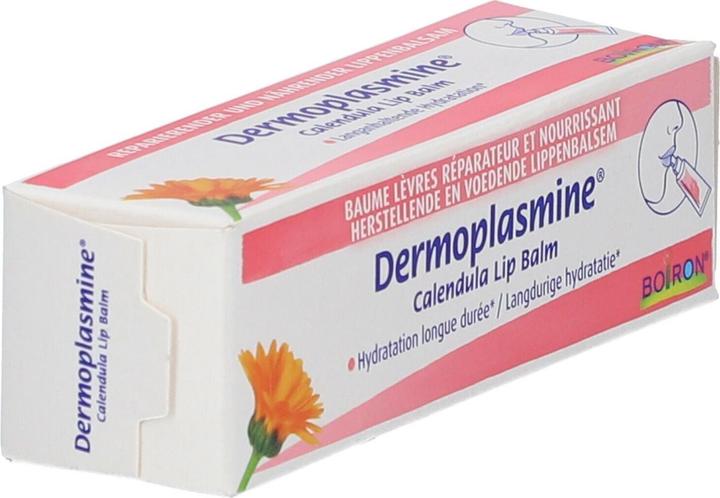 Actual product image Boiron Dermoplasmine Lip Balm (Lip balm, 10 g)