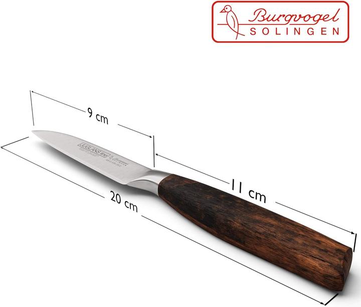 Actual product image Burgvogel Solingen Juglans Line (9 cm)