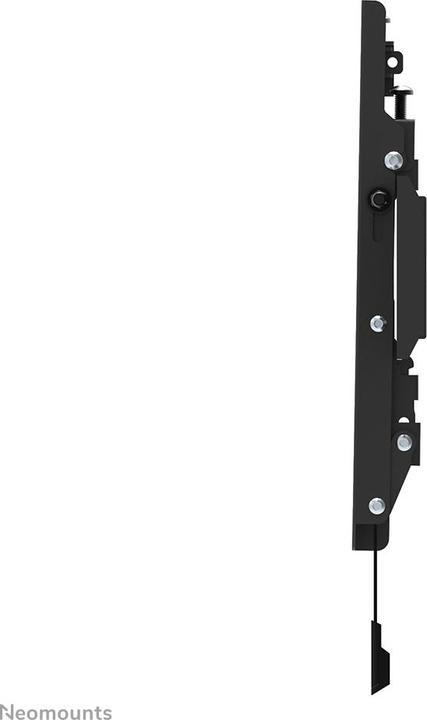 Image du produit Neomounts Support mural WL35S-850BL12 Noir (Mur, 65", 40 kg)