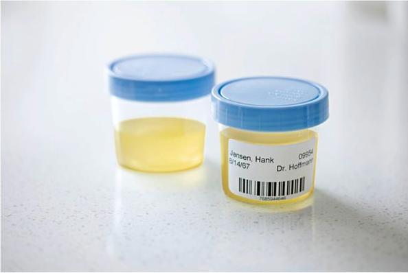 Immagine prodotto Dymo S0722540 Etichette multiuso, 1 pezzo (3.20 cm)