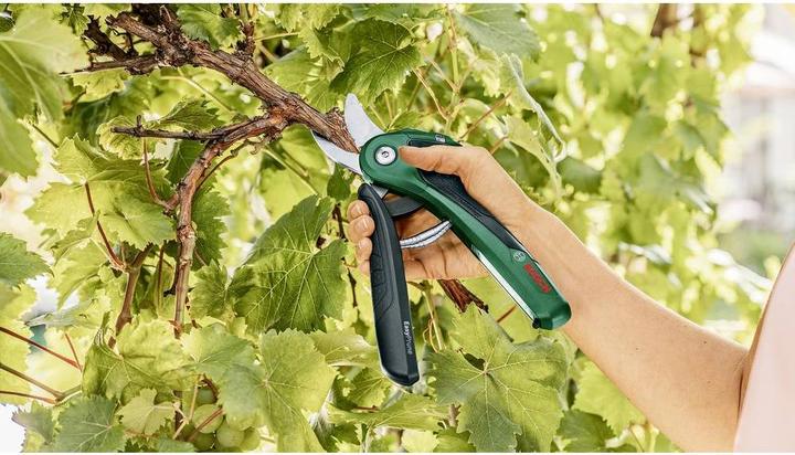 Actual product image Bosch Home & Garden EasyPrune
