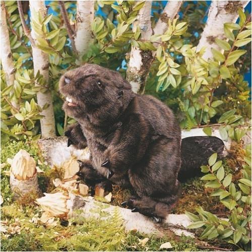 Actual product image Folkmanis Beaver