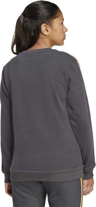 Produktbild Adidas Terrace Icons Sweatshirt (146, 152)