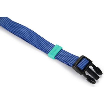 Thumbnail - Beeztees BZ NYLON HALSBD UNI BLAU 35-50 (35, 36, 37, 38, 39, 40, 41, 42, 43, 44, 45, 46, 47, 48, 49, 50, Hund, Allgemein...