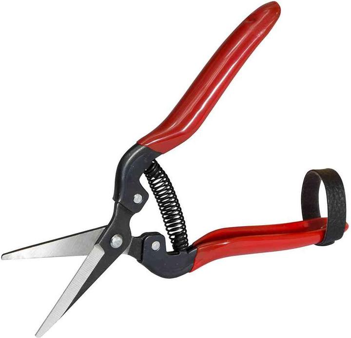 Productafbeelding Siena Garden Premium oogst/bloem Sch