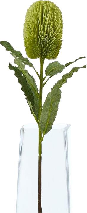 Actual product image Hill Interiors Banksia Serrata Artificial Flower (65 cm)