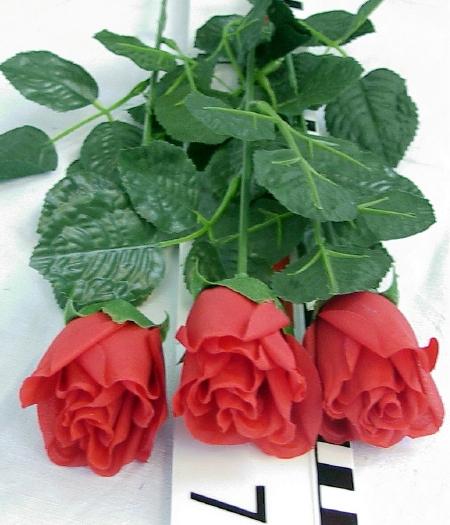 Actual product image Fortura Roses