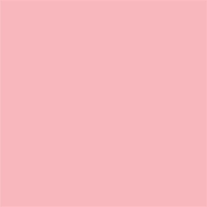 Image du produit Superior Achtergrond Rol Carnation Pink (nr 17) 1.35m x 11m (135 cm)