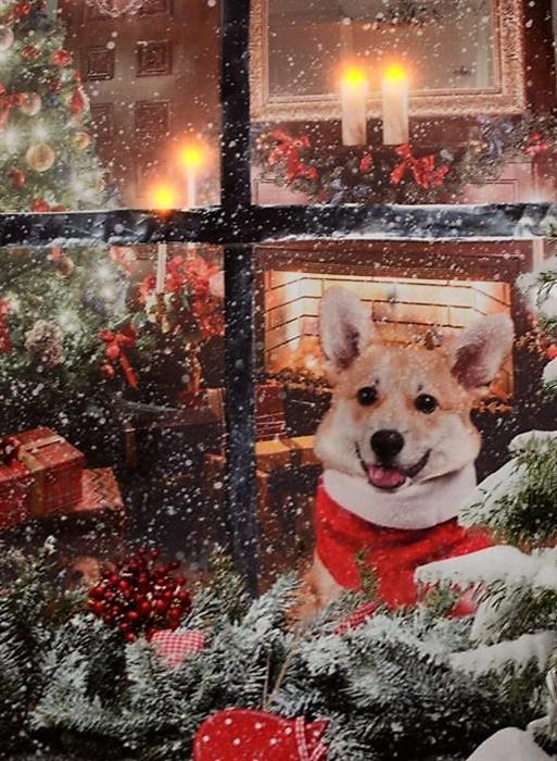 Immagine prodotto GuGus Motivi di quadri LED su tela: Cani alla finestra 4 LED (30 x 2 x 40 cm)