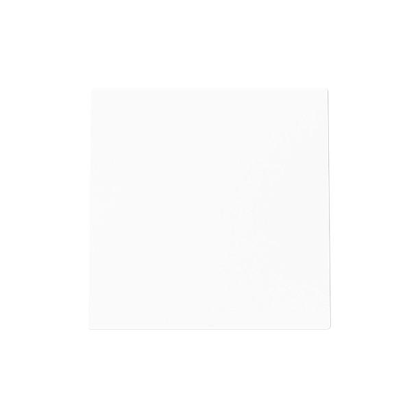 Actual product image Busch-Jaeger Blind central disc