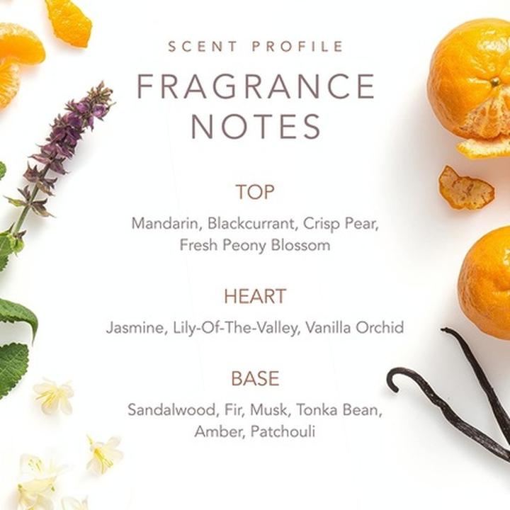 Image du produit Dolly Parton SCENT BEAUTY EDT Parfum pour femmes Scent from Above 1.0 Fl Oz (Eau de toilette, 29.57 ml)