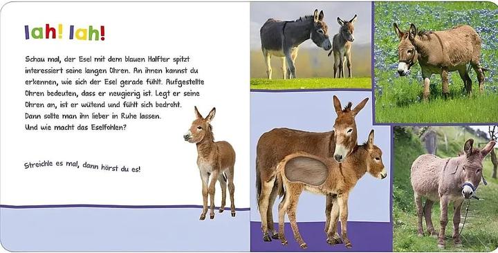 Actual product image Listen, who could that be? In the pasture (German)