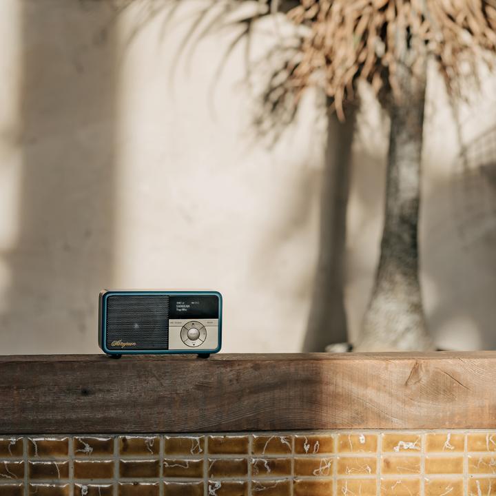 Produktbild Sangean DDR-7X (DAB+, FM, Bluetooth)