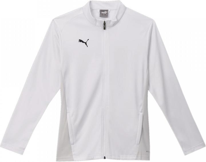 Actual product image Puma teamGOAL Training Jacket Wmn (M)
