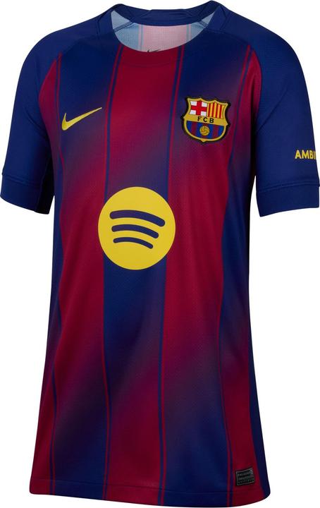 Nike FC Barcelona Heim