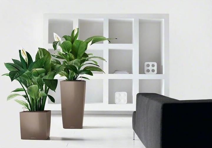 Produktbild Lechuza Cube (39 x 39 x 40 cm)